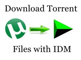Torrent To Idm Link Converter
